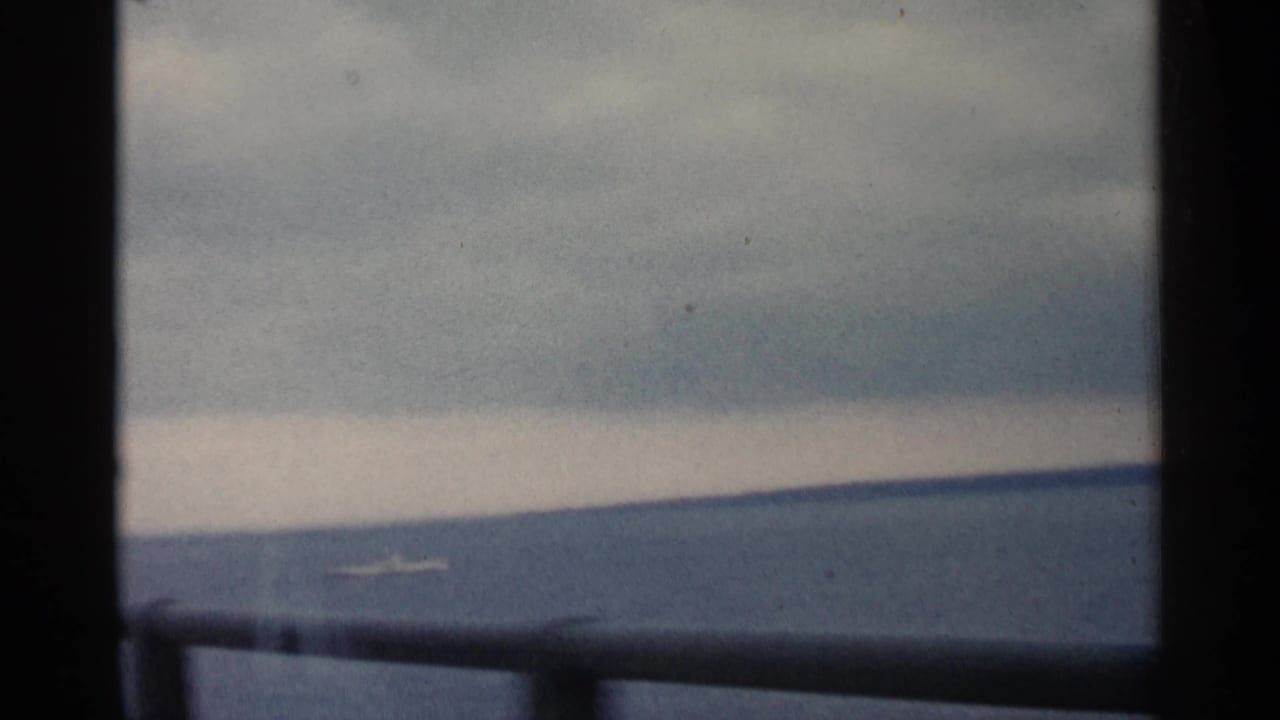 Open water and low shoreline viewed through dark vertical and horizontal foreground bars.
