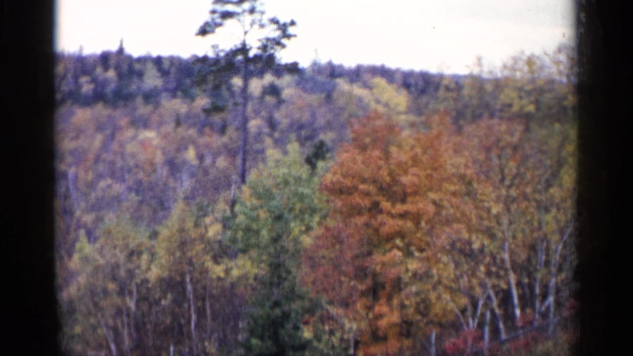 Autumn wooded hillside with colorful trees and dark 8mm frame edges.