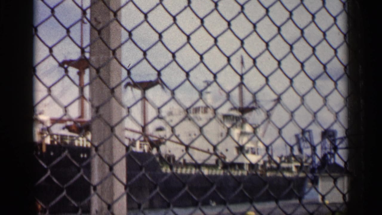 Docked ship and cranes partly obscured by chain-link fencing and a post.