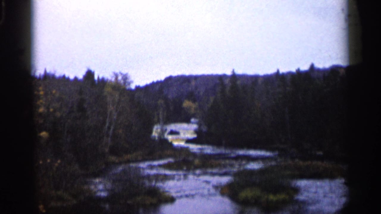 Forested river view with a distant light-colored car and dark trees along the bank.