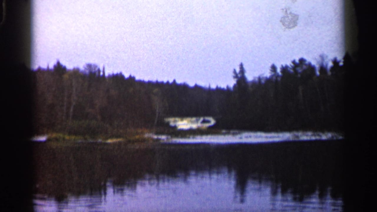 Calm lake facing a wooded shoreline with a small white boat near the water.