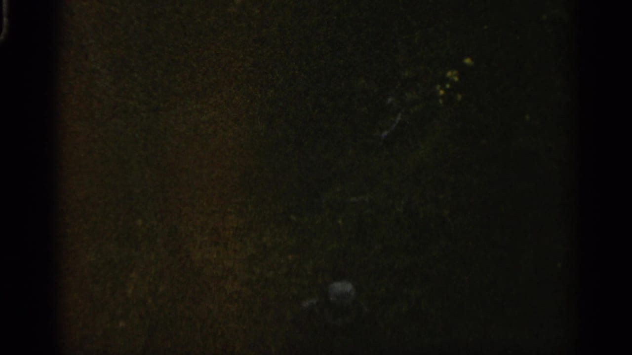 1960 Michigan 8mm frame with a distant waterfall partly visible through dark trees and underexposed foreground shadow.