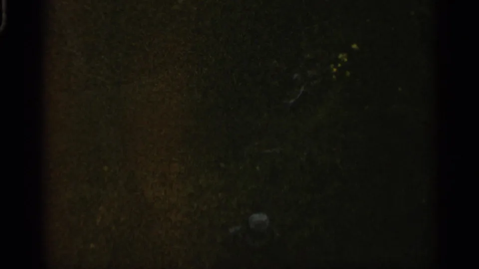 1960 Michigan 8mm frame with a distant waterfall partly visible through dark trees and underexposed foreground shadow.