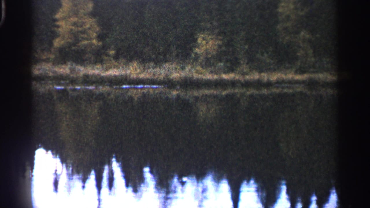 Wooded shoreline reflected in still lake water with dark film edges.