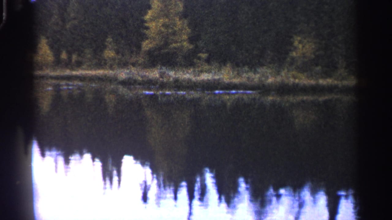 Lake surface reflecting a tree-lined shore under a pale sky.