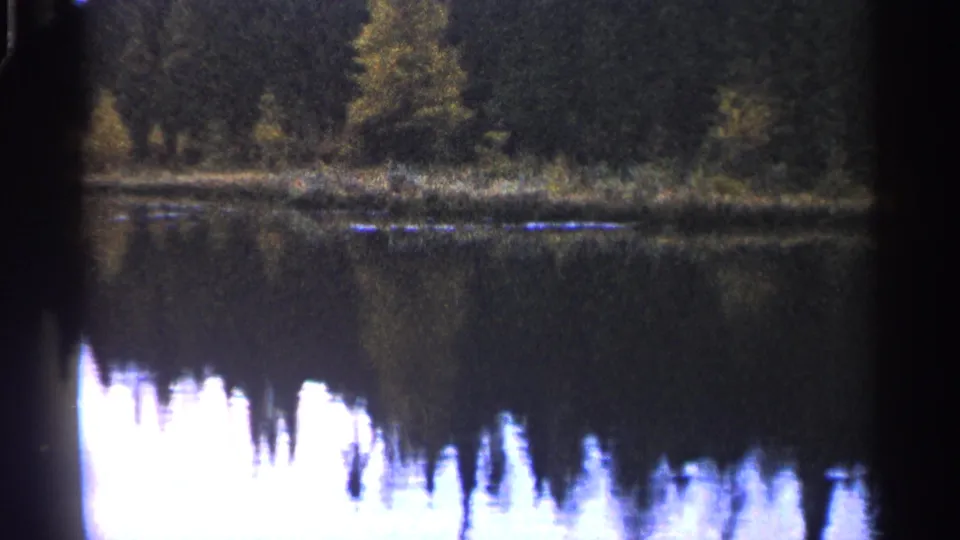 Tree-lined Michigan lakeshore reflected in calm water, captured with soft 8mm color and dark gate edges.