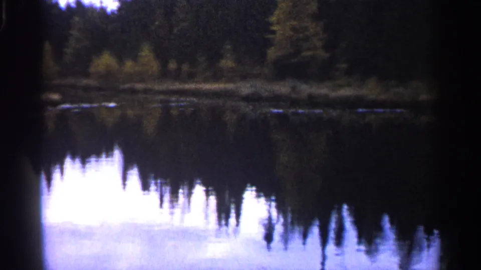 1960 Michigan home-movie view of evergreen trees and shoreline reflected in dark lake water with visible film grain.