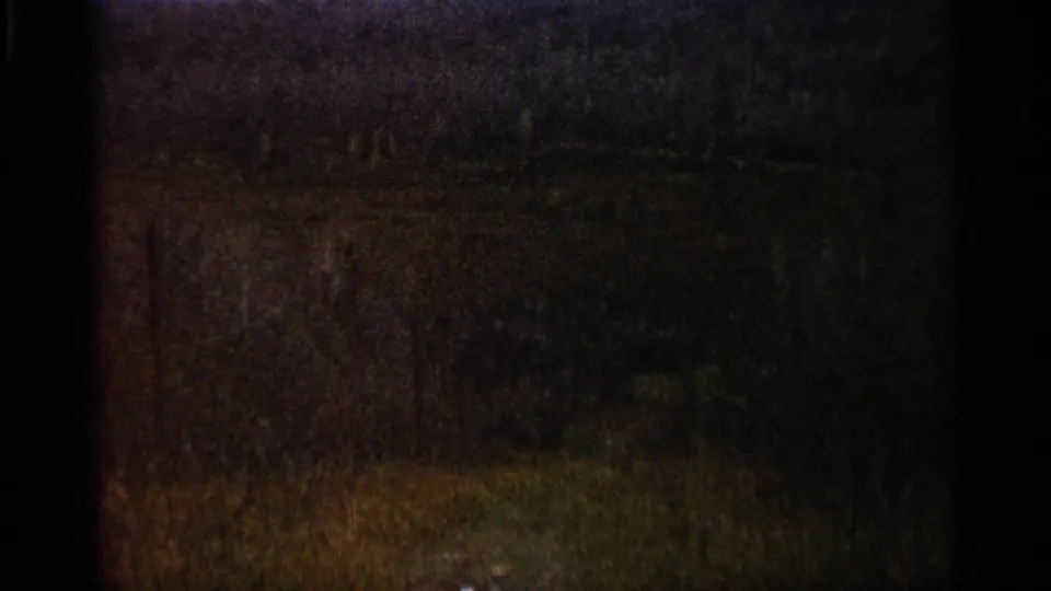 The final frame shifts away from the tower to a dim, blurry outdoor area that appears to include grass and trees or brush.