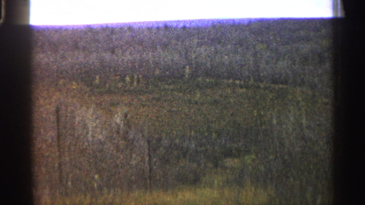 Grainy tree-lined meadow under a bright sky with dark film borders.