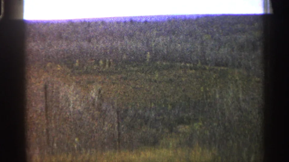 1960 Michigan 8mm frame showing a distant tree line and meadow through heavy grain and aged color.