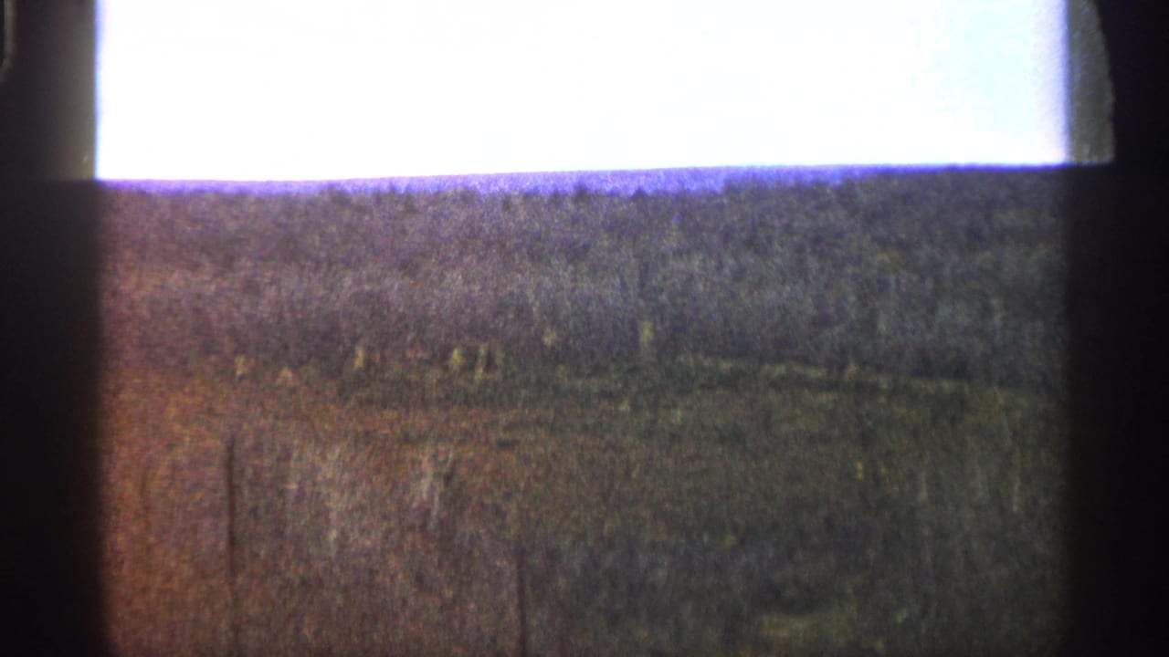 Dark meadow and tree line beneath a washed-out bright sky.