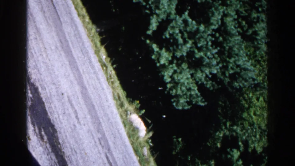 High angled 8mm view of a winding roadside bordered by dense trees, consistent with a Michigan travel-film sequence.