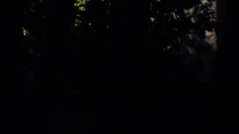1960 Michigan home-movie frame transitioning from the Black River Harbor sign and water into dark foreground trees.