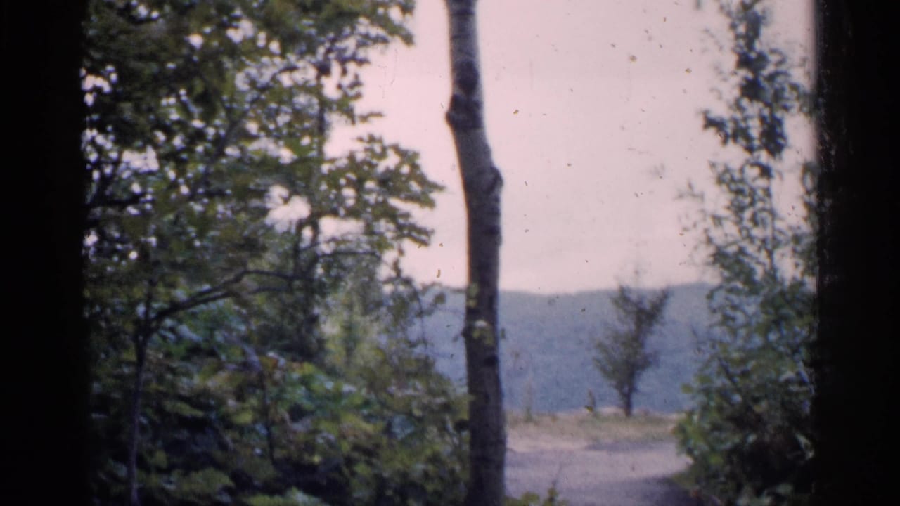 1960 Michigan 8mm frame showing tall forest trunks, green foliage, a dirt path, and a distant hillside under soft light.