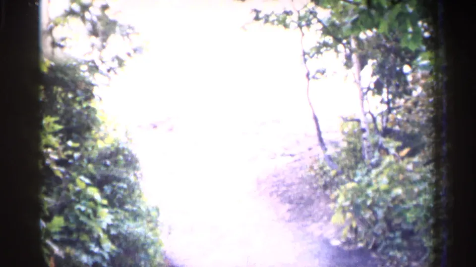 1960 Michigan home-movie frame looking from shaded greenery toward a bright overexposed opening along the path.