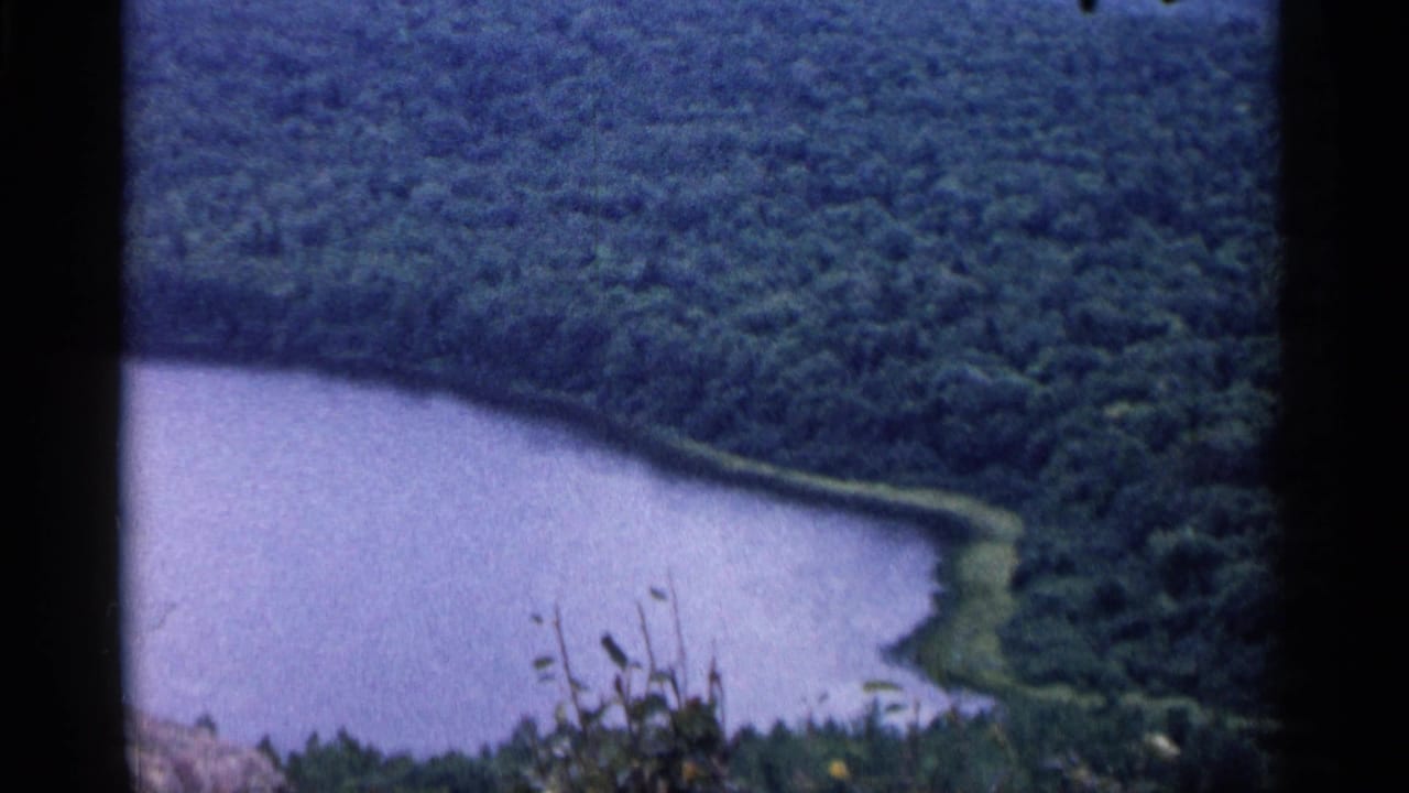 High view over a blue lake bordered by dense forest and foreground brush.
