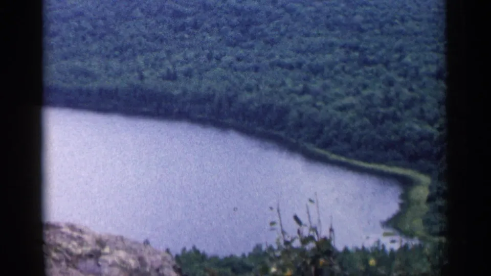 1960 Michigan 8mm frame showing a wooded lake from above, with visible film gate edges and foreground plants.