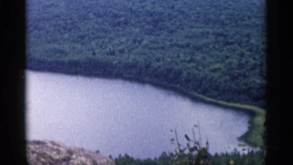 1960 Michigan 8mm frame showing a calm lake below dense forest, with soft focus, foreground weeds, and dark film borders.