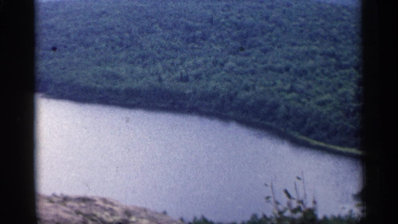 Calm water curves along a wooded shoreline beneath a dense green forest.