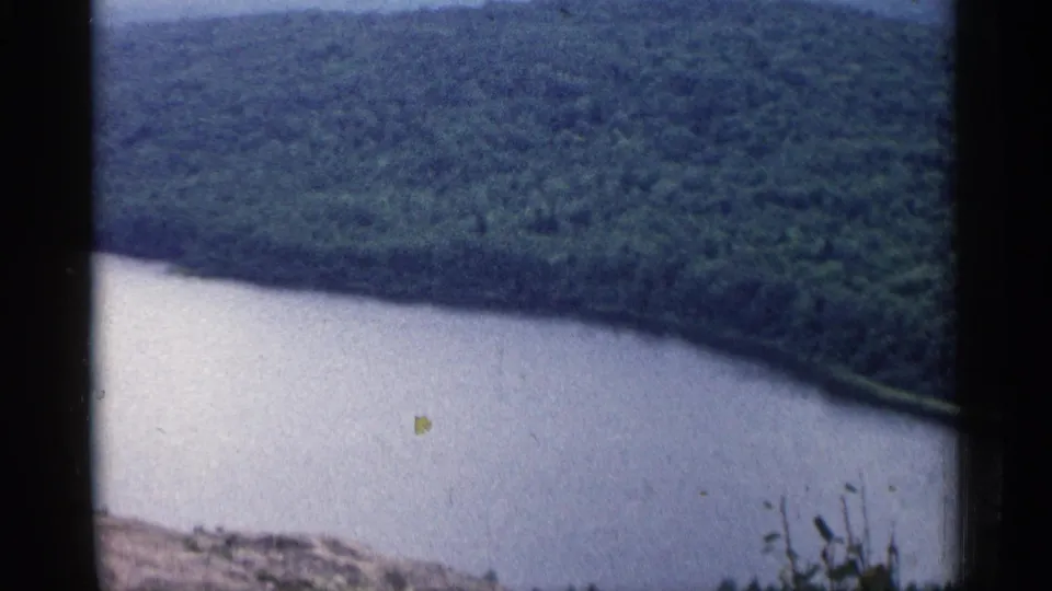 1960 Michigan home-movie frame showing a wooded lake edge from an elevated viewpoint, with foreground vegetation and soft color fade.