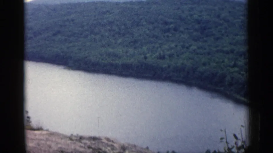 1960 Michigan 8mm frame with pale lake water, a dark tree-lined shoreline, foreground weeds, and visible film-frame edges.