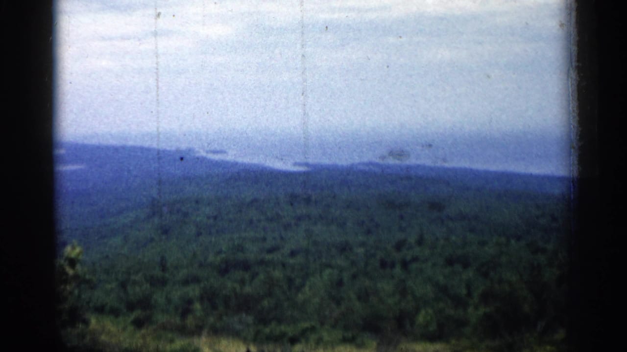1960 Michigan home-movie frame showing dense green woods, distant shoreline, and blue water beyond dark framing edges.