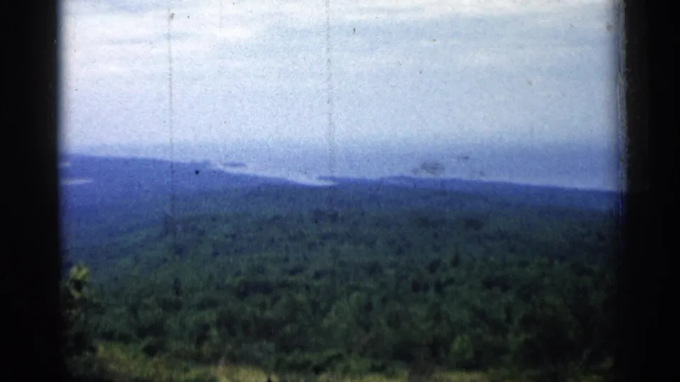 1960 Michigan home-movie frame showing dense green woods, distant shoreline, and blue water beyond dark framing edges.