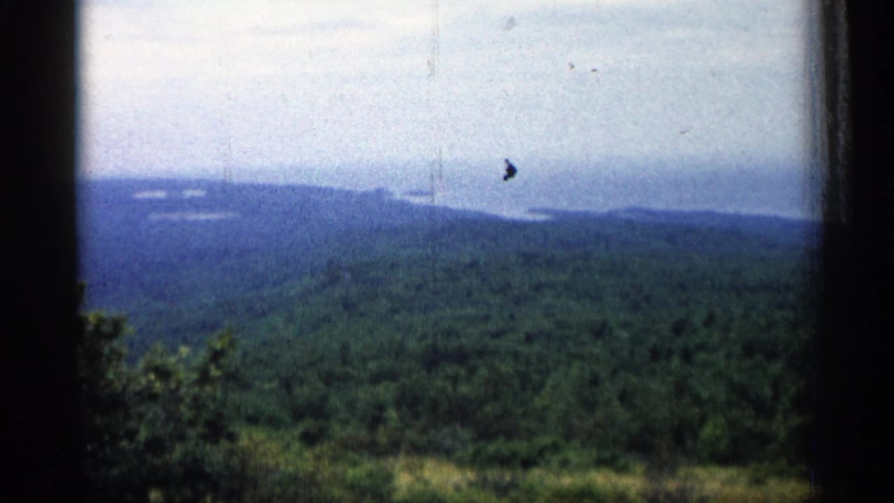 Forested hills seen from a high overlook with distant water under a pale sky.