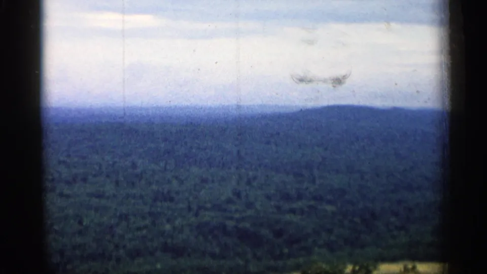 1960 Michigan 8mm landscape looking across a broad forest canopy toward distant hills and a cloudy horizon.