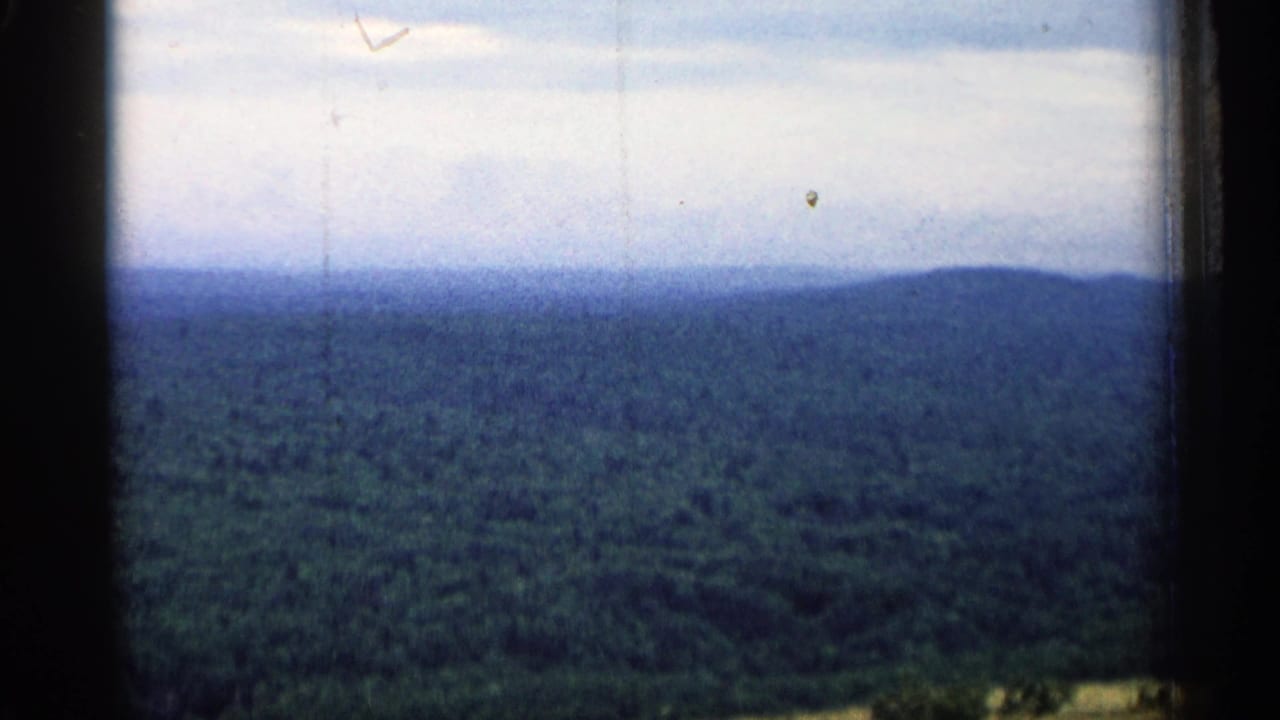 Wide forest vista with a pale sky and distant hills, bordered by dark film or window edges.