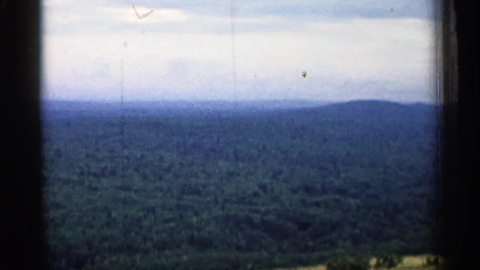 1960 Michigan home-movie frame showing an expansive green forest view under a pale sky with dark framing at the sides.