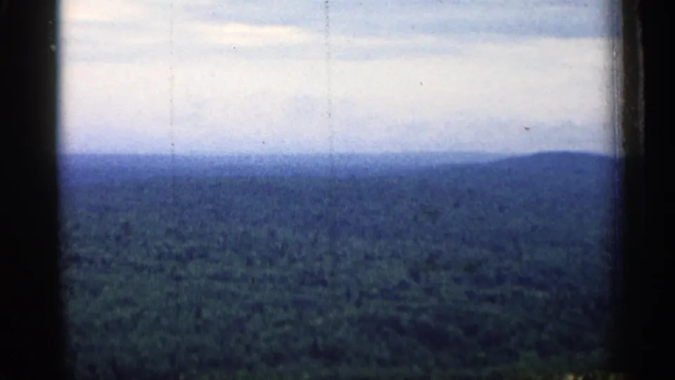 1960 Michigan 8mm footage frame showing a wooded horizon and pale sky, with visible grain and dark framing edges.