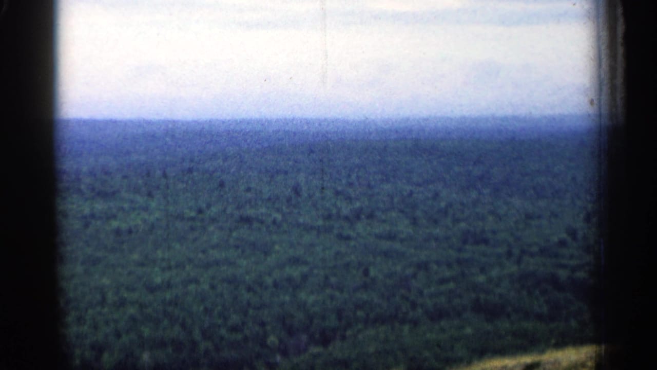 Vintage 8mm aerial view in Michigan, with forest canopy below and dark vertical edges framing the horizon.