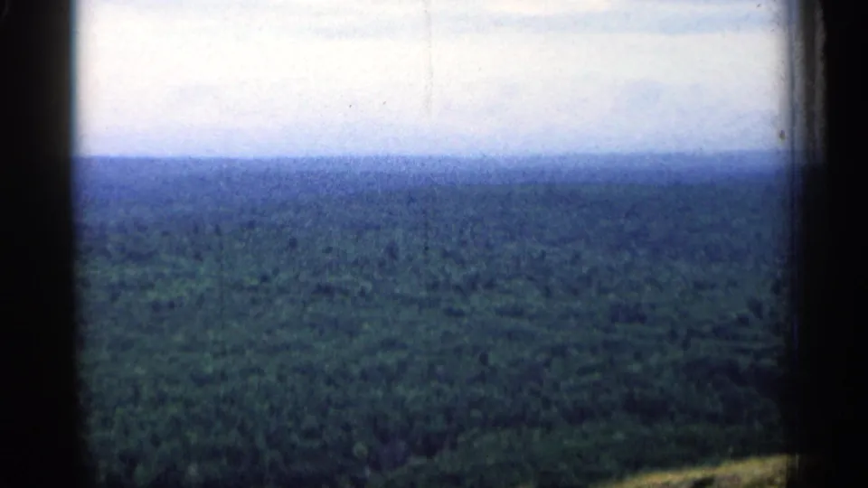 Vintage 8mm aerial view in Michigan, with forest canopy below and dark vertical edges framing the horizon.