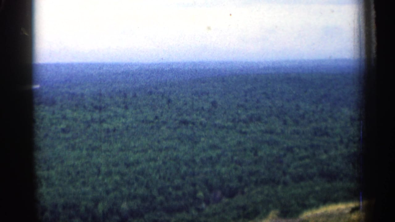1960 Michigan home-movie frame showing a wide aerial forest view with soft focus and dark film borders.
