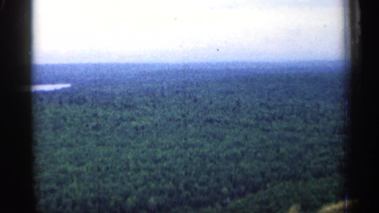 Michigan 1960 aerial 8mm frame showing forest canopy and a small bright patch that appears to be water in the distance.