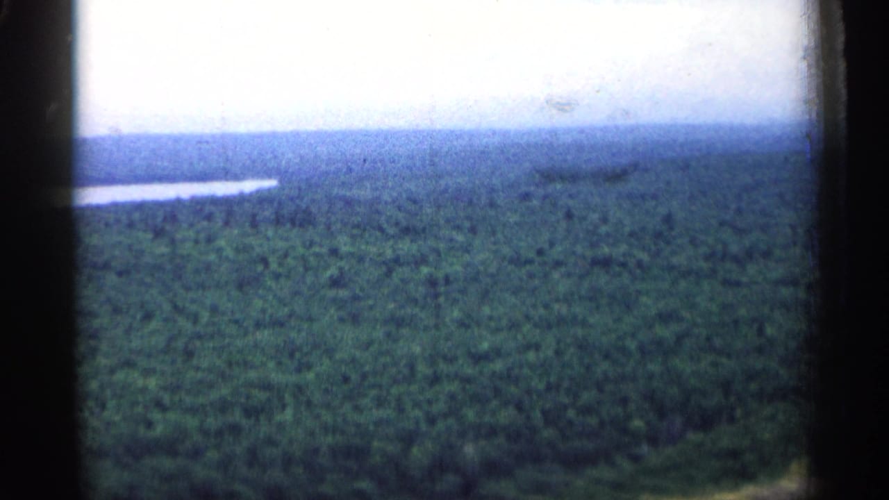 1960 Michigan 8mm frame showing a wide green forest canopy, distant inland water, and dark gate edges.
