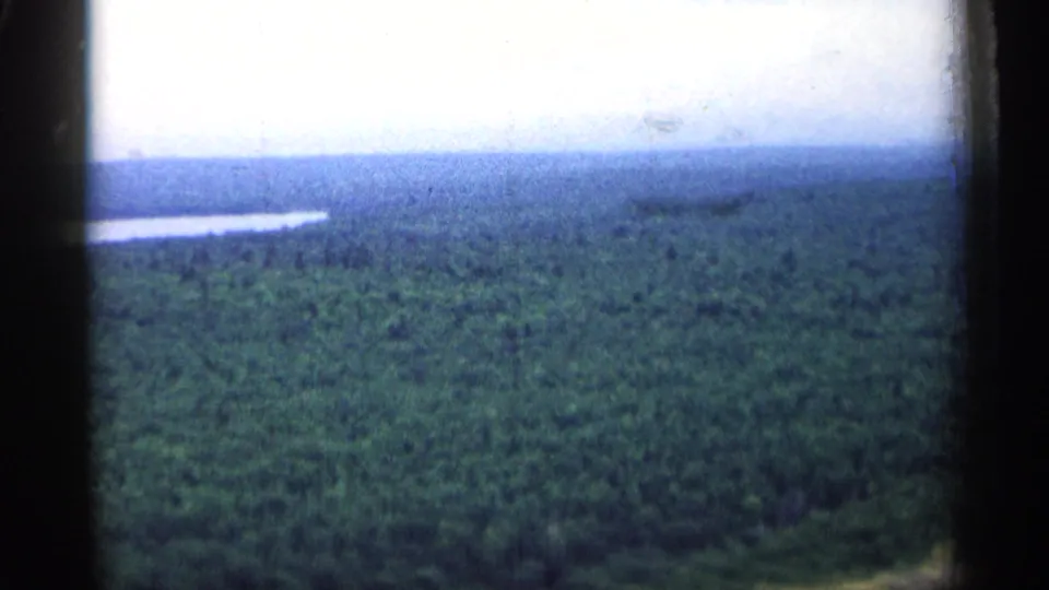1960 Michigan 8mm frame showing a wide green forest canopy, distant inland water, and dark gate edges.