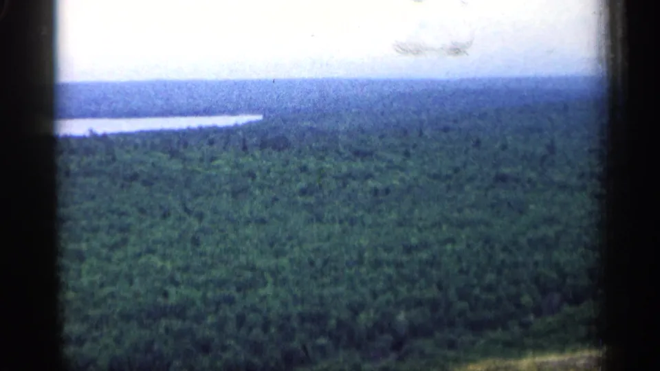1960 Michigan aerial home-movie frame with forest canopy below and a long pale water shape near the horizon.