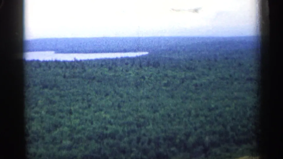 1960 Michigan 8mm aerial view across uninterrupted forest toward a distant lake or river beneath a pale sky.