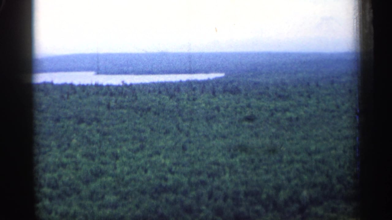 1960 Michigan 8mm frame showing dense forest stretching toward a pale lake and hazy horizon.