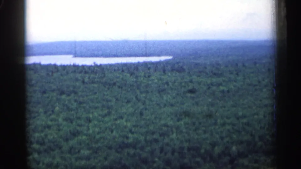1960 Michigan 8mm frame showing dense forest stretching toward a pale lake and hazy horizon.