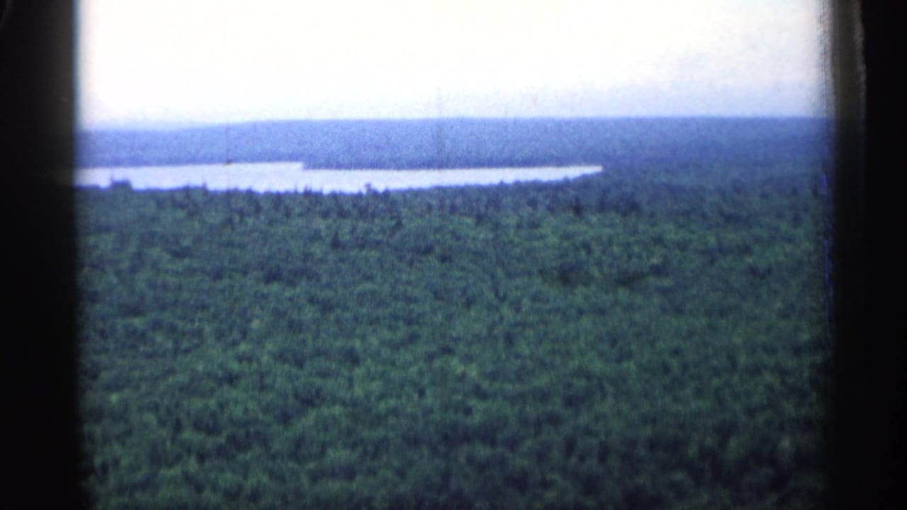 Wide forest canopy with a narrow lake near the horizon.