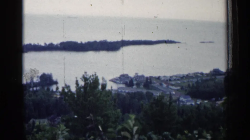 The elevated Michigan harbor view continues, with wooded foreground, lakeside rooftops, open water, and a distant low shoreline visible through film grain.