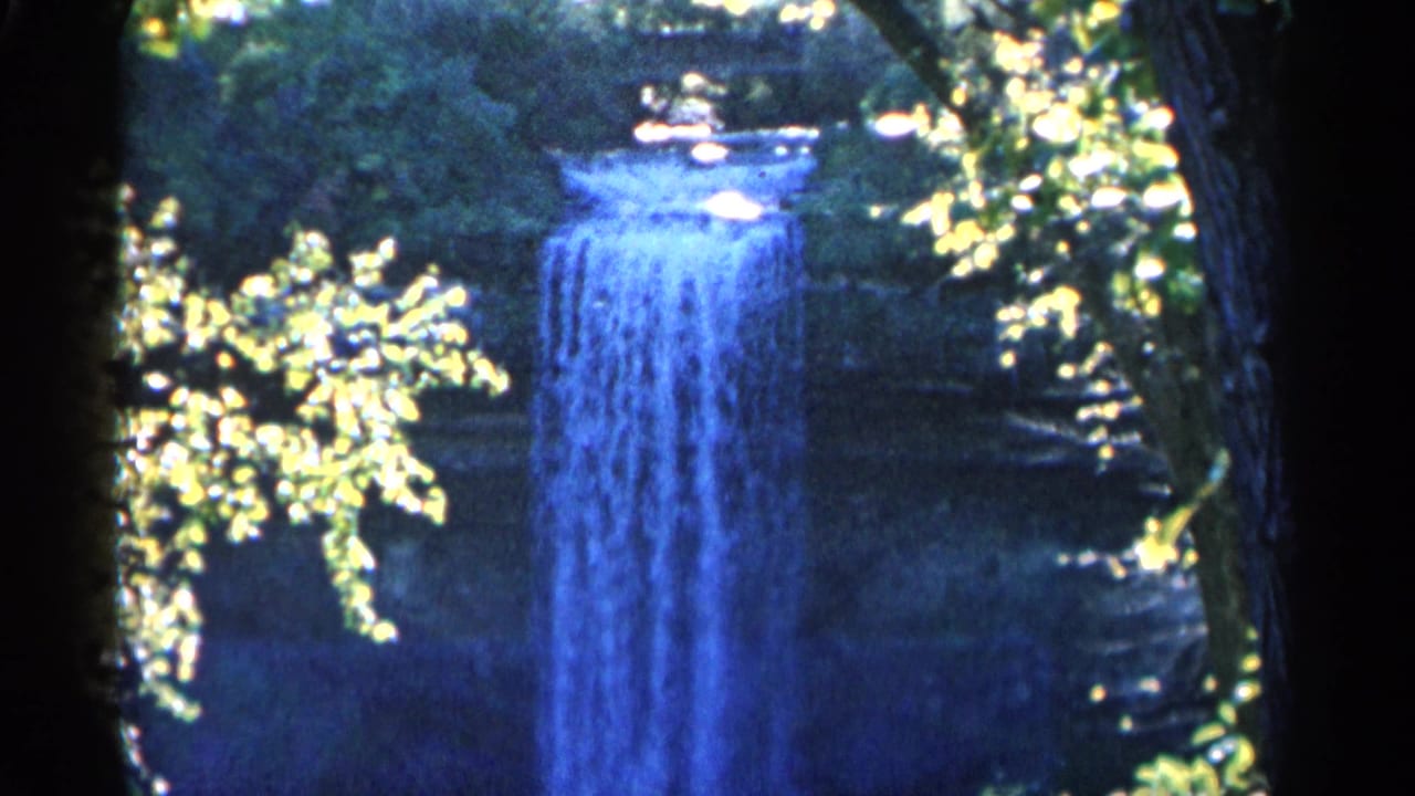 Waterfall cascading through shaded trees with bright leaves in the foreground.