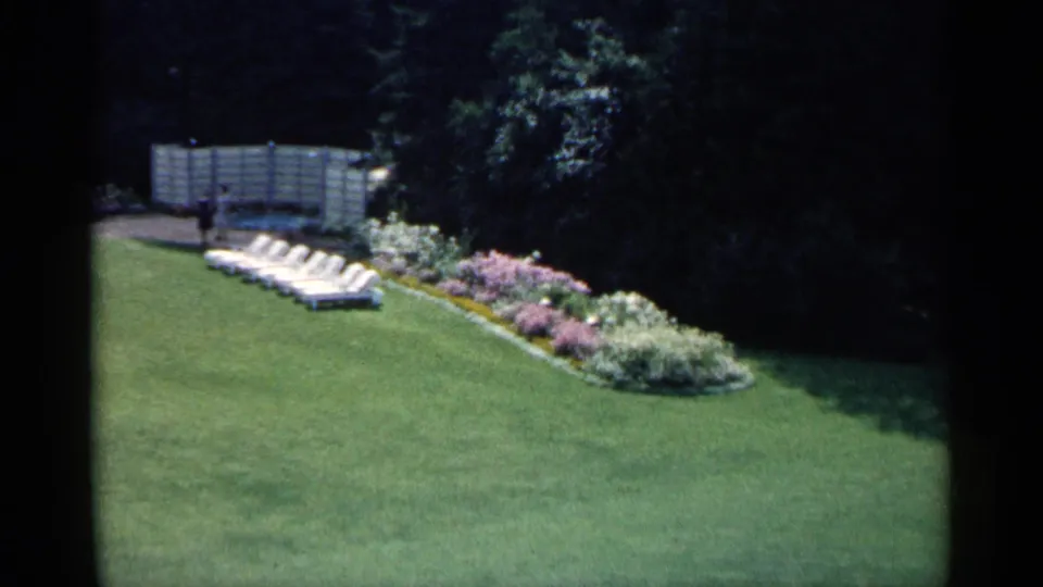 1960 Michigan resort lawn view with a row of white lounge chairs, pink and white flowers, trees, and a small distant person.