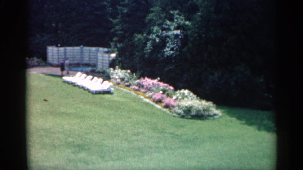 1960 Michigan backyard view with a wide green lawn, flower bed, white lounge chairs, fence, trees, and a distant person.