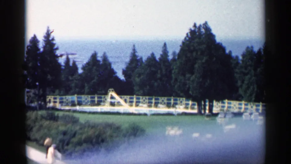1960 Michigan poolside view with a yellow slide, fenced edge, evergreen trees, lawn, and distant water beyond the property.