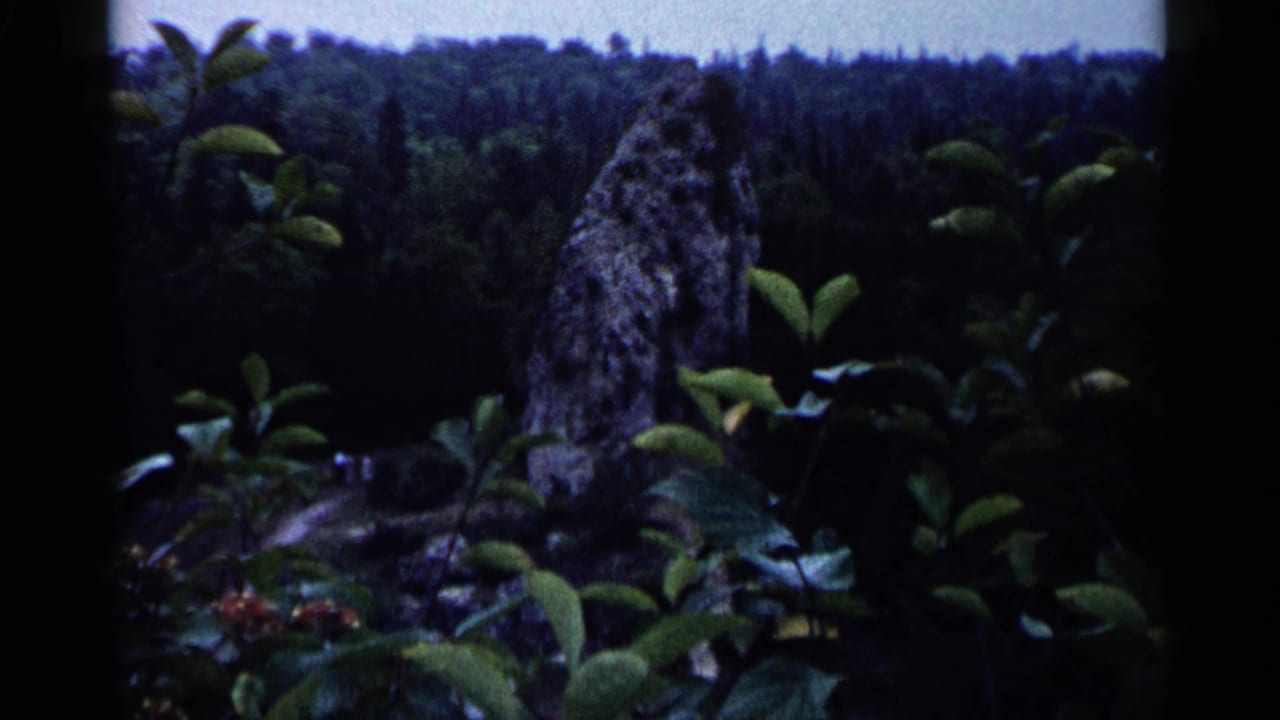 1960 Michigan 8mm frame of a tall natural rock formation seen through leafy foreground plants against a dense forest backdrop.