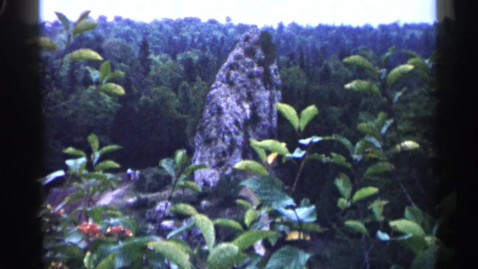 1960 Michigan 8mm view of a forest rock formation framed by glossy leaves, with tree-covered slopes in the distance.